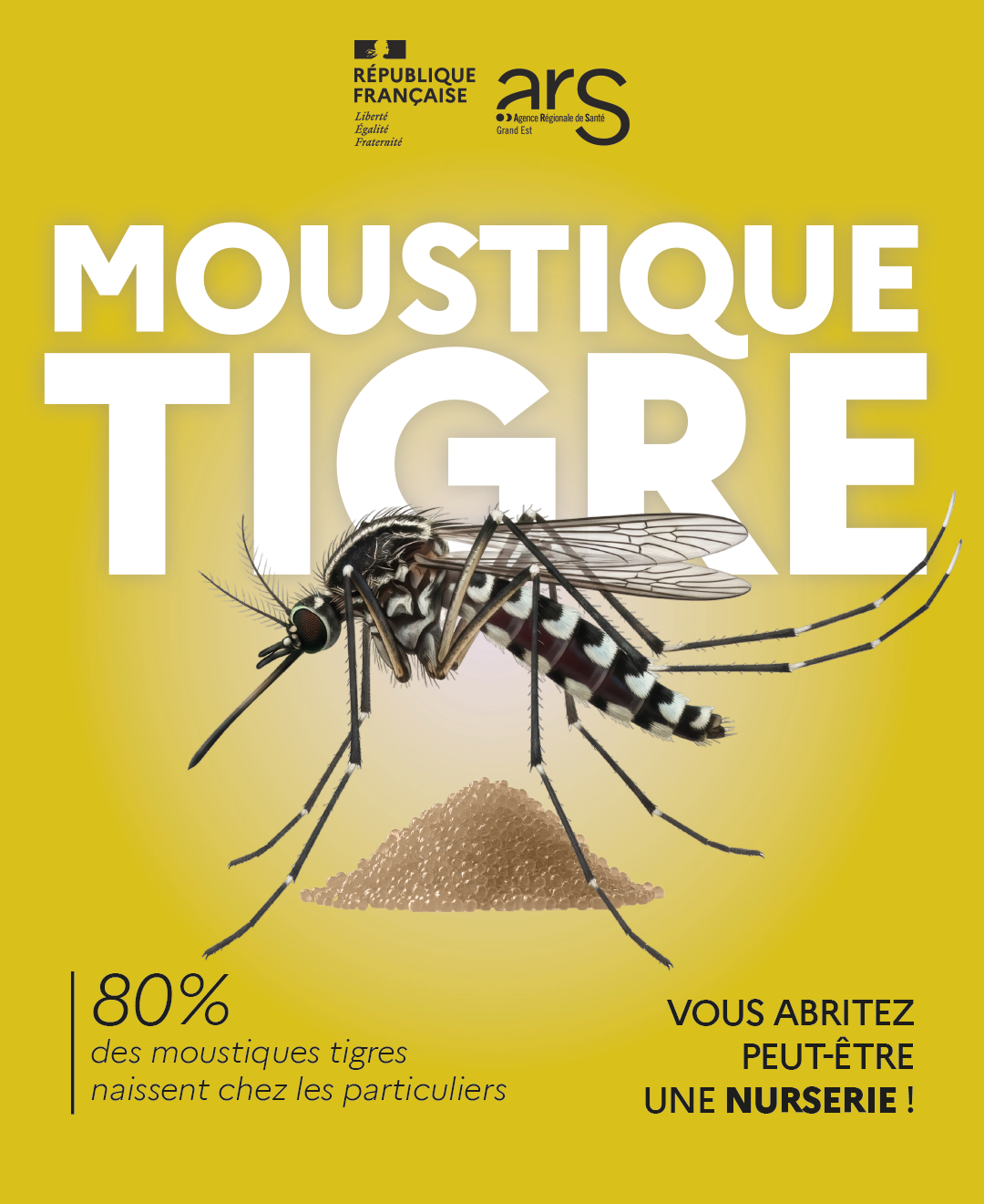 Luttons ensemble contre le moustique tigre !